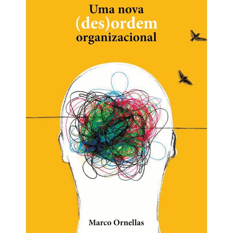 UMA NOVA (DES)ORDEM ORGANIZACIONAL