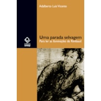 UMA PARADA SELVAGEM: PARA LER AS ILUMINAÇÕES DE RIMBAUD