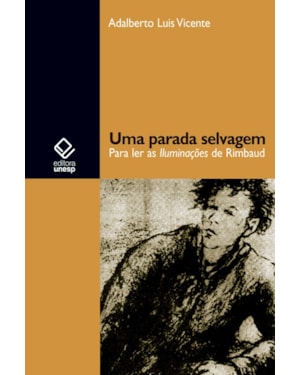 UMA PARADA SELVAGEM: PARA LER AS ILUMINAÇÕES DE RIMBAUD