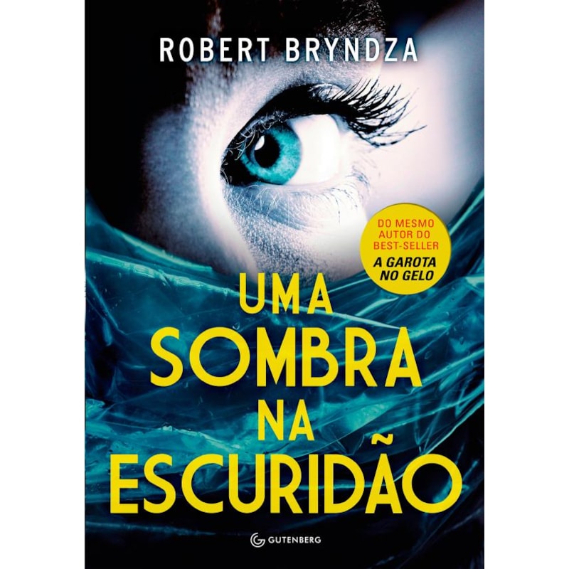 UMA SOMBRA NA ESCURIDÃO (DETETIVE ERIKA FOSTER LIVRO 2)