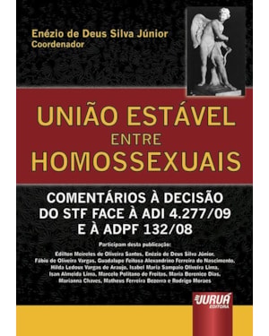 UNIÃO ESTÁVEL ENTRE HOMOSSEXUAIS - COMENTÁRIOS À DECISÃO DO STF FACE À ADI 4.277/09 E À ADPF 132/08