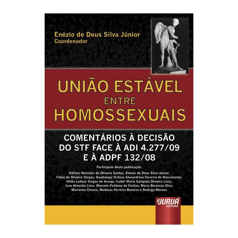 UNIÃO ESTÁVEL ENTRE HOMOSSEXUAIS - COMENTÁRIOS À DECISÃO DO STF FACE À ADI 4.277/09 E À ADPF 132/08