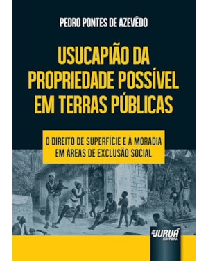 USUCAPIÃO DA PROPRIEDADE POSSÍVEL EM TERRAS PÚBLICAS - O DIREITO DE SUPERFÍCIE E À MORADIA EM ÁREAS DE EXCLUSÃO SOCIAL