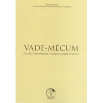 Vade mecum do motu proprio mitis iudex dominus iesu: do motu proprio mitis iudex dominus iesu