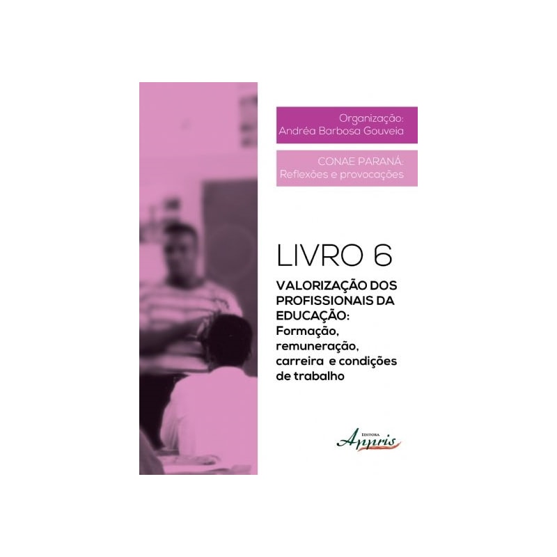 VALORIZAÇÃO DOS PROFISSIONAIS DA EDUCAÇÃO: FORMAÇÃO, REMUNERAÇÃO, CARREIRA E CONDIÇÕES DE TRABALHO