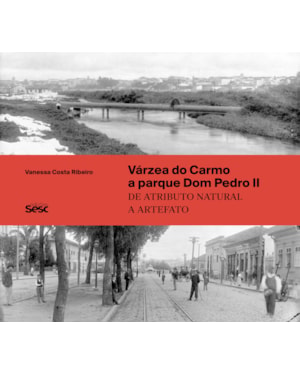 VÁRZEA DO CARMO A PARQUE DOM PEDRO II: DE ATRIBUTO NATURAL A ARTEFATO