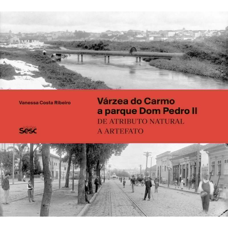 VÁRZEA DO CARMO A PARQUE DOM PEDRO II: DE ATRIBUTO NATURAL A ARTEFATO