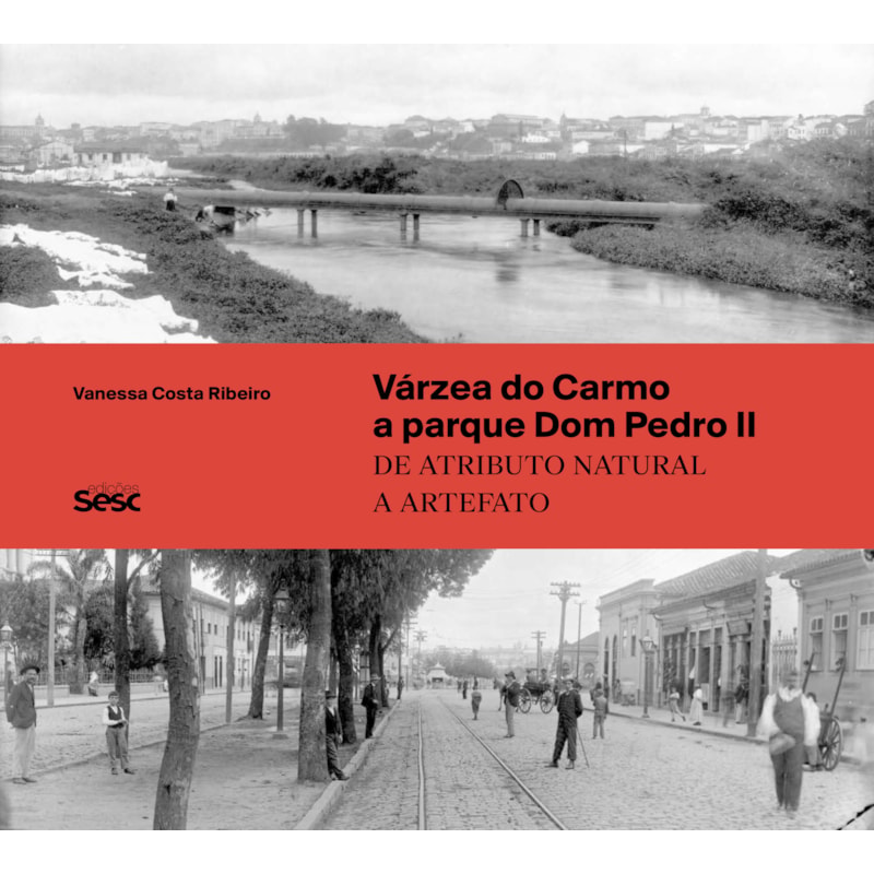 VÁRZEA DO CARMO A PARQUE DOM PEDRO II: DE ATRIBUTO NATURAL A ARTEFATO