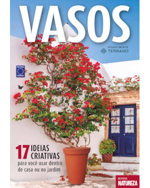 VASOS - 17 IDEIAS CRIATIVAS