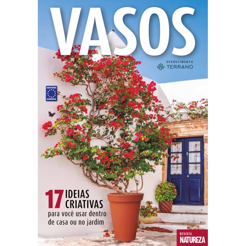 VASOS - 17 IDEIAS CRIATIVAS