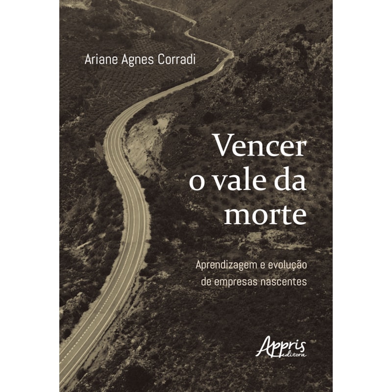VENCER O VALE DA MORTE: APRENDIZAGEM E EVOLUÇÃO DE EMPRESAS NASCENTES