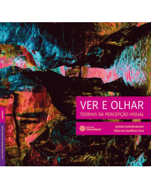 VER E OLHAR:: TEORIAS DA PERCEPÇÃO VISUAL