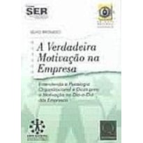 VERDADEIRA MOTIVACAO NA EMPRESA, A - ENTENDENDO A...