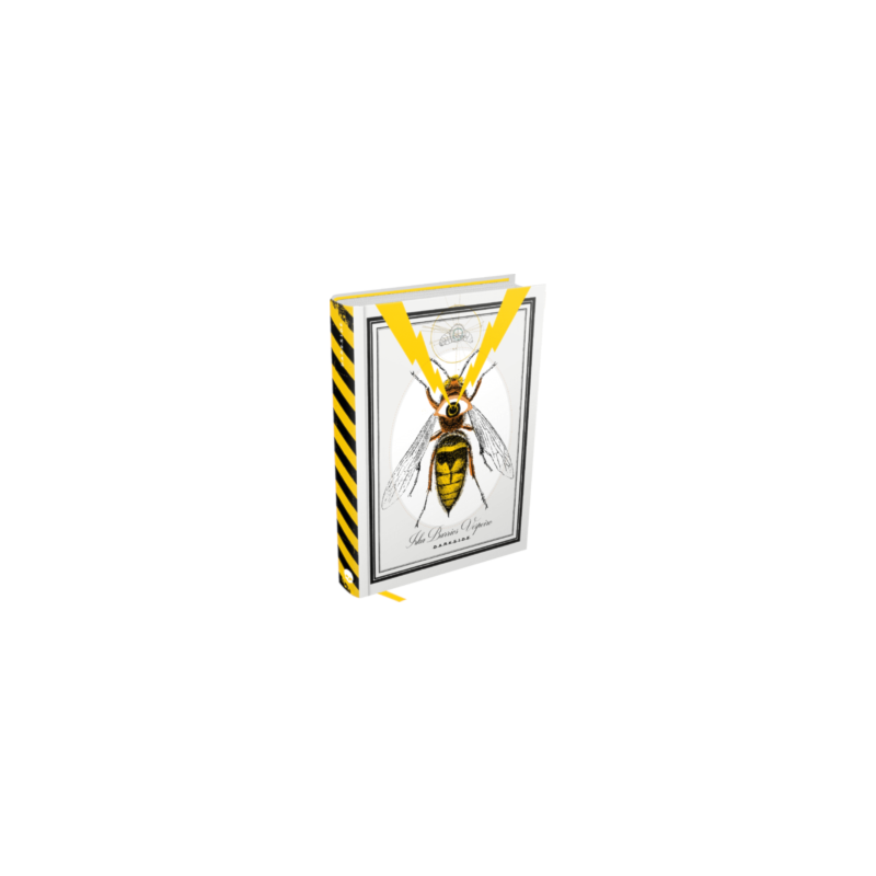 image_bd37b63f-8b41-4770-8e49-c42ff00f4144