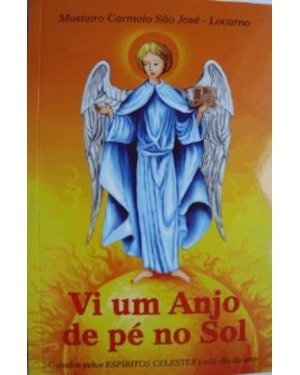 VI UM ANJO DE PÉ NO SOL