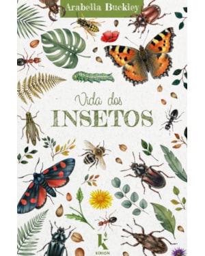 VIDA DOS INSETOS