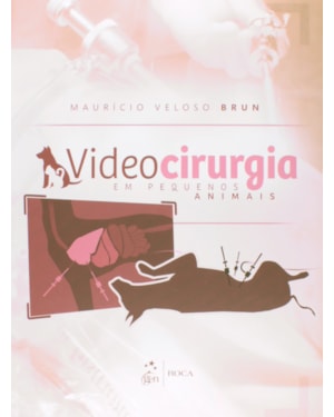 Videocirurgia em pequenos animais