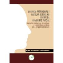 VIOLÊNCIA PATRIMONIAL E PARTILHA DE BENS NO REGIME DA COMUNHÃO PARCIAL: CONTEXTO, IMPLICAÇÕES, ABRANGÊNCIA E POSSIBILIDADES JURÍDICAS SOB A PERSPECTIVA DE GÊNERO