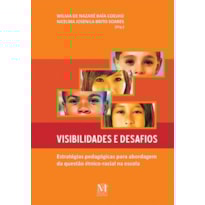 VISIBILIDADES E DESAFIOS: ESTRATEGIAS PEDAGOGICAS PARA ABORDAGEM DA QUESTAO