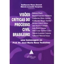 VISÕES CRÍTICAS DO PROCESSO CIVIL BRASILEIRO