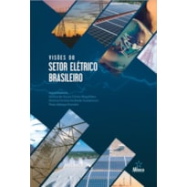 VISÕES DO SETOR ELÉTRICO BRASILEIRO