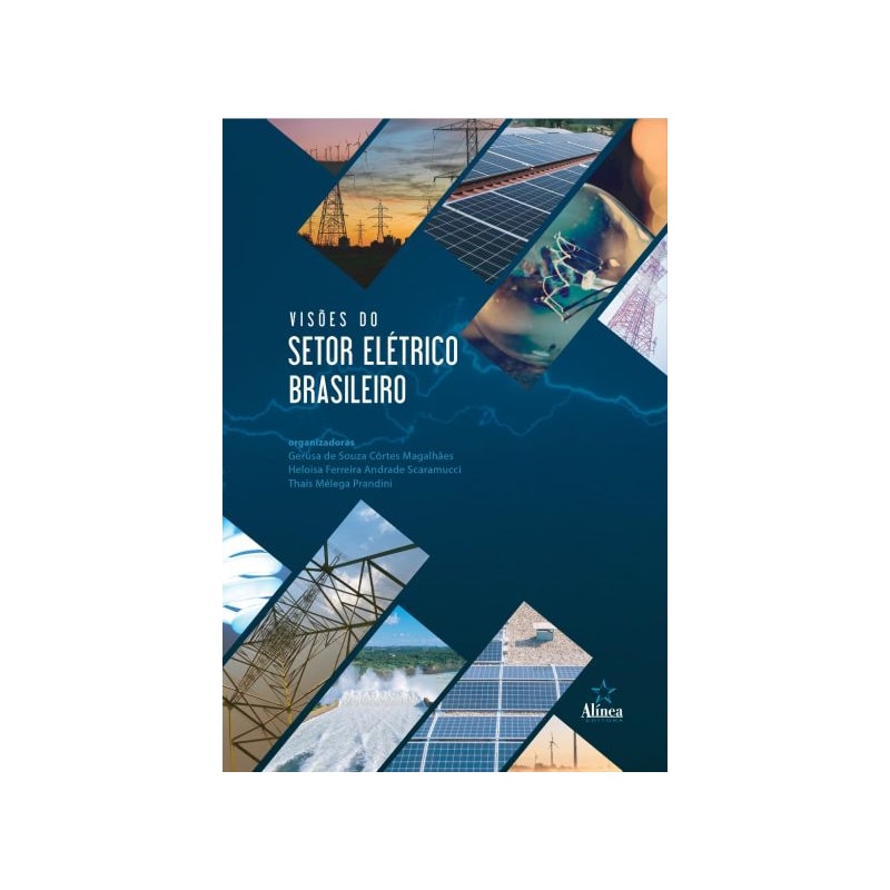 VISÕES DO SETOR ELÉTRICO BRASILEIRO
