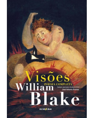 VISÕES: POESIA COMPLETA