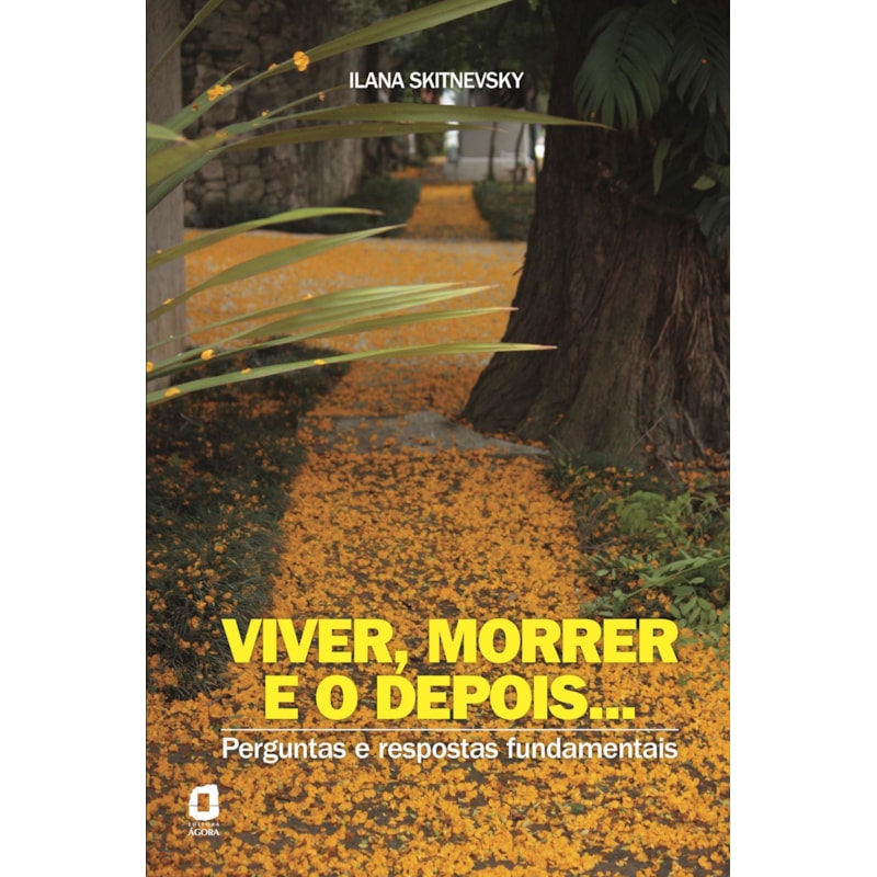 VIVER, MORRER E O DEPOIS...: PERGUNTAS E RESPOSTAS FUNDAMENTAIS