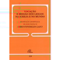 VOCAÇÃO E MISSÃO DOS LEIGOS NA IGREJA E NO MUNDO - 119: CHRISTIFIDELIS LAICI