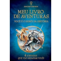 VOCÊ É O HERÓI DA HISTÓRIA : MEU LIVRO DE AVENTURAS