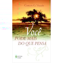 VOCÊ PODE MAIS DO QUE PENSA VOCÊ PODE MAIS DO QUE PENSA