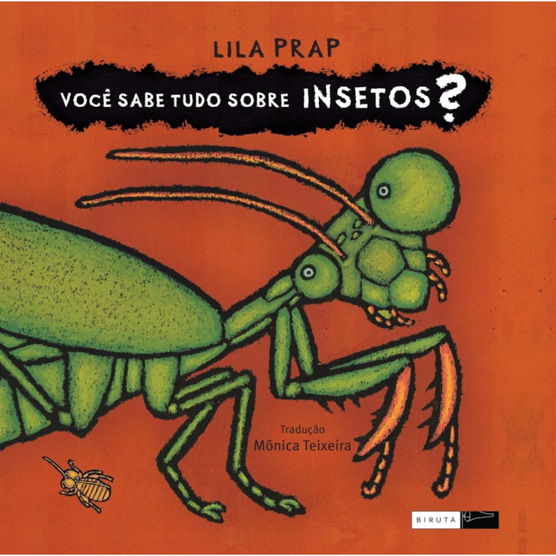 VOCÊ SABE TUDO SOBRE INSETOS?