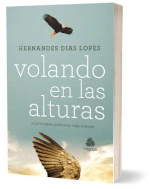 Volando en las alturas: (versión en español)