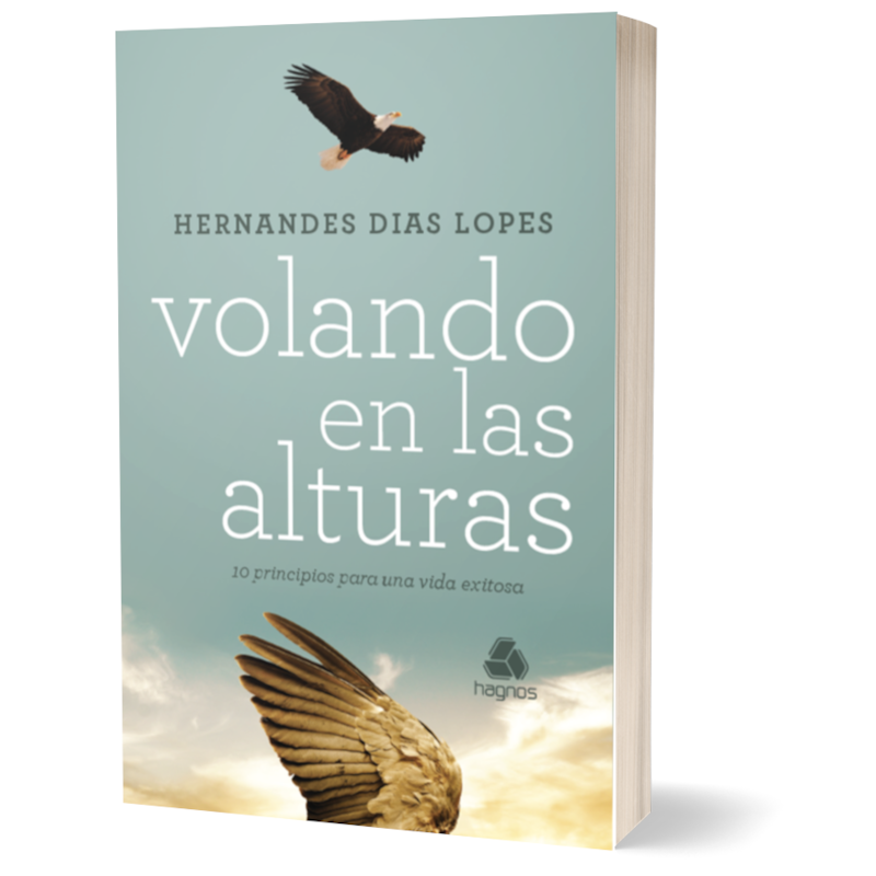 VOLANDO EN LAS ALTURAS - (VERSIÓN EN ESPAÑOL)