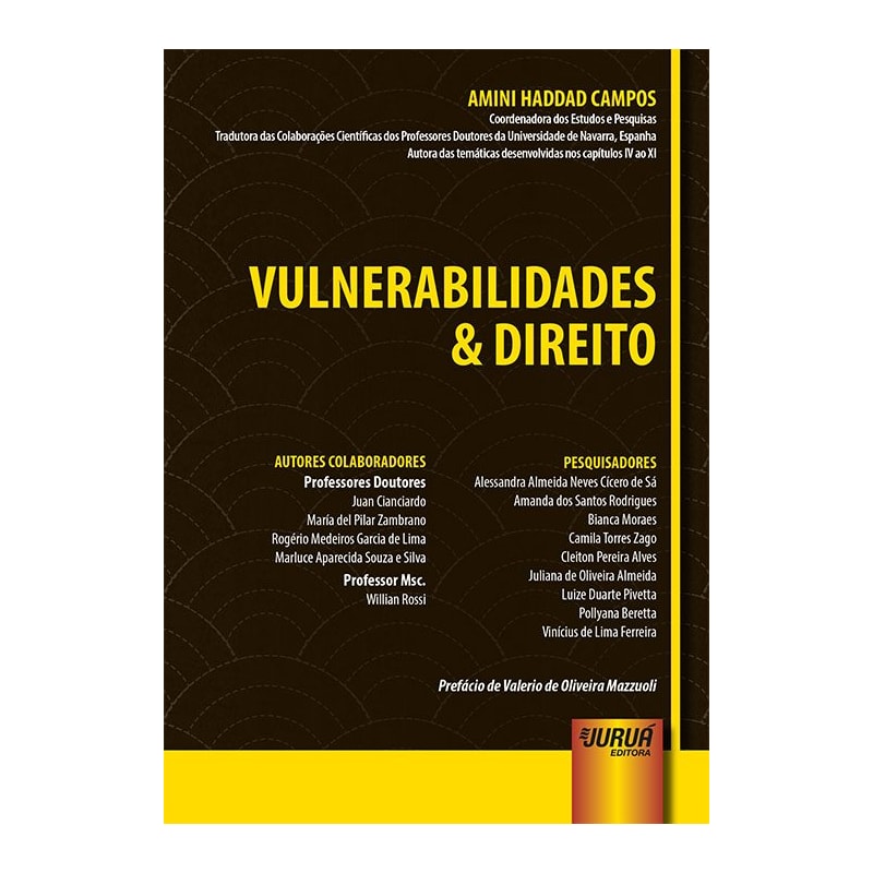 VULNERABILIDADES & DIREITO - PREFÁCIO DE VALERIO DE OLIVEIRA MAZZUOLI