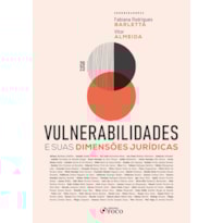 VULNERABILIDADES E SUAS DIMENSÕES JURÍDICAS - 1ª ED - 2023