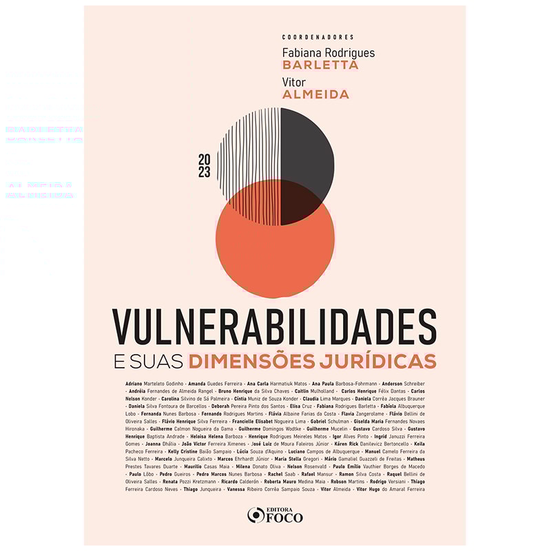 VULNERABILIDADES E SUAS DIMENSÕES JURÍDICAS - 1ª ED - 2023
