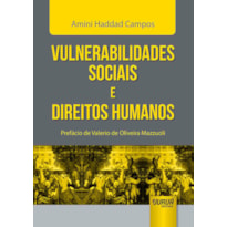 VULNERABILIDADES SOCIAIS E DIREITOS HUMANOS - PREFÁCIO DE VALERIO DE OLIVEIRA MAZZUOLI