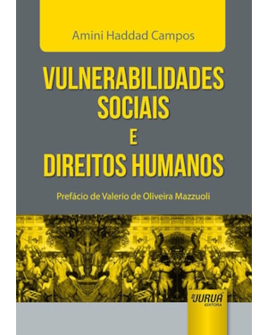 VULNERABILIDADES SOCIAIS E DIREITOS HUMANOS - PREFÁCIO DE VALERIO DE OLIVEIRA MAZZUOLI