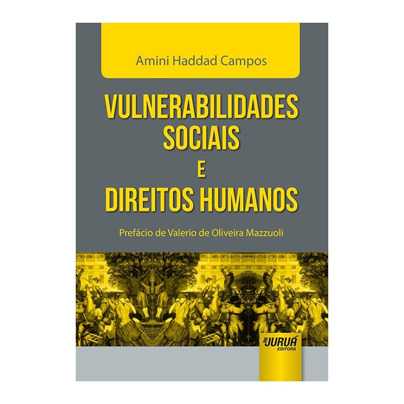 VULNERABILIDADES SOCIAIS E DIREITOS HUMANOS - PREFÁCIO DE VALERIO DE OLIVEIRA MAZZUOLI
