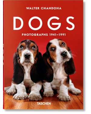 Walter chandoha. dogs. photographs 1941-1991