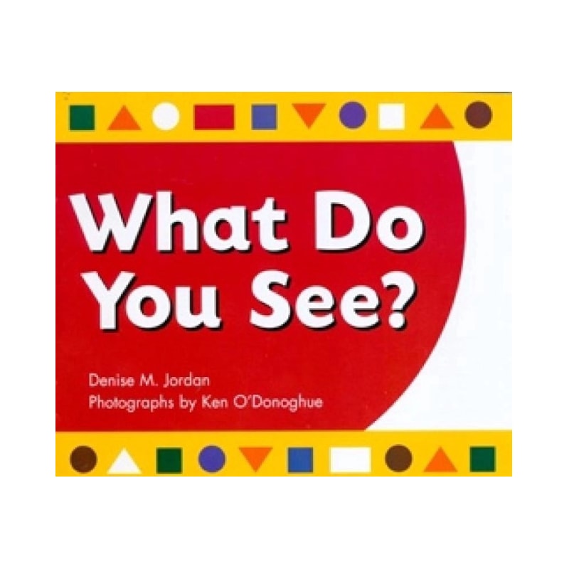 WHAT DO YOU SEE?