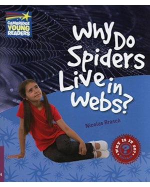 WHY DO SPIDERS LIVE IN WEBS?