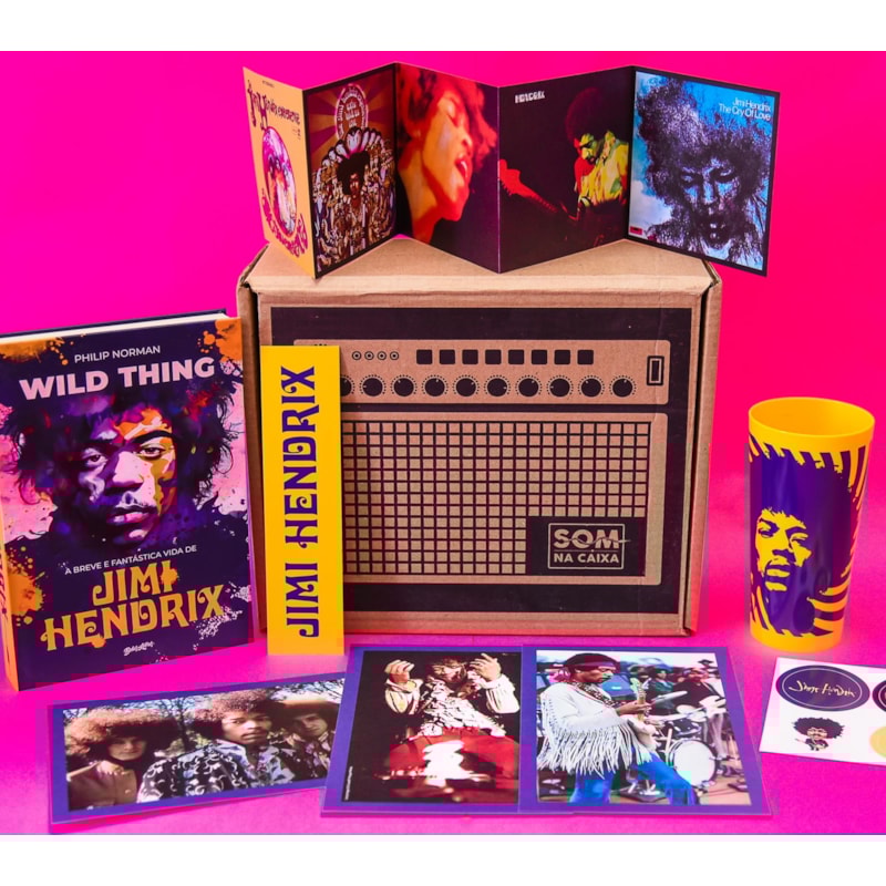 WILD THING (CAIXA DE COLECIONADOR): A BREVE E FANTÁSTICA VIDA DE JIMI HENDRIX