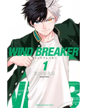 Wind breaker 01
