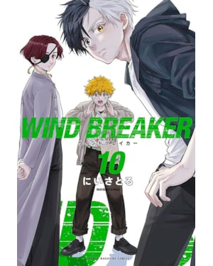 Wind breaker 10