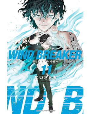 Wind breaker 11