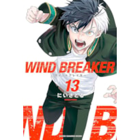 Wind breaker 13