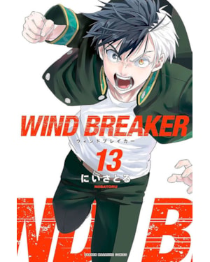Wind breaker 13