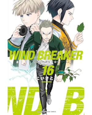 Wind Breaker 16
